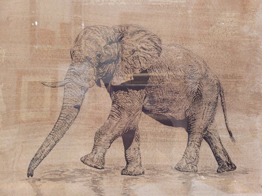 Lámina enmarcada y acristalada, Elefante, Roche Bobois, s. XXI   Francia