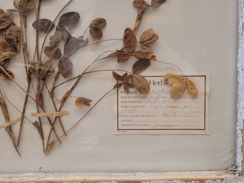 Herbario en puerta provenzal, S. XVIII – Francia