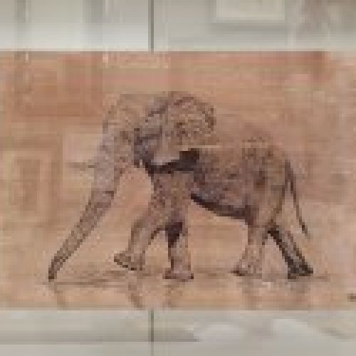 Lámina enmarcada y acristalada, Elefante, Roche Bobois, s. XXI   Francia