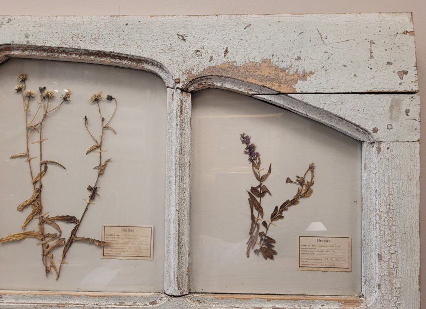 Herbario en puerta provenzal, S. XVIII – Francia